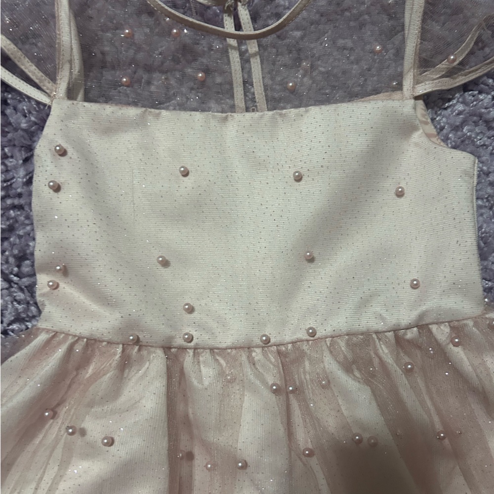 Rare Editions beautiful light pink Girls beaded dress